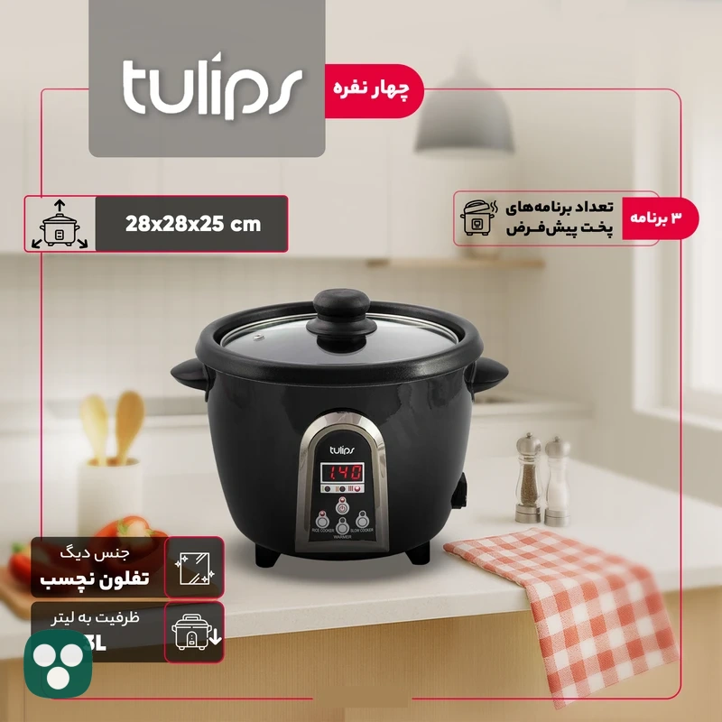 پلوپز-تولیپس-مدل-RC-440-4-gallery-1 پلوپز تولیپس مدل RC-440-4 - تصویر 2