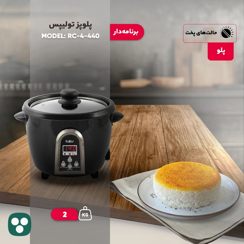 پلوپز-تولیپس-مدل-RC-440-4-gallery-2 پلوپز تولیپس مدل RC-440-4 - تصویر 3